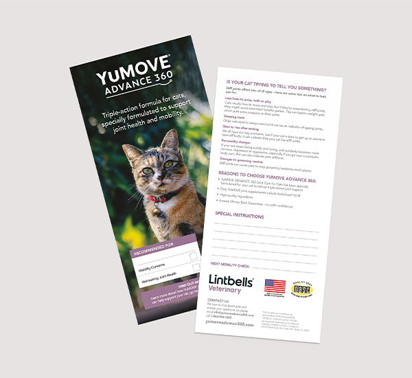 Lintbells yumove advance 360 best sale for cats