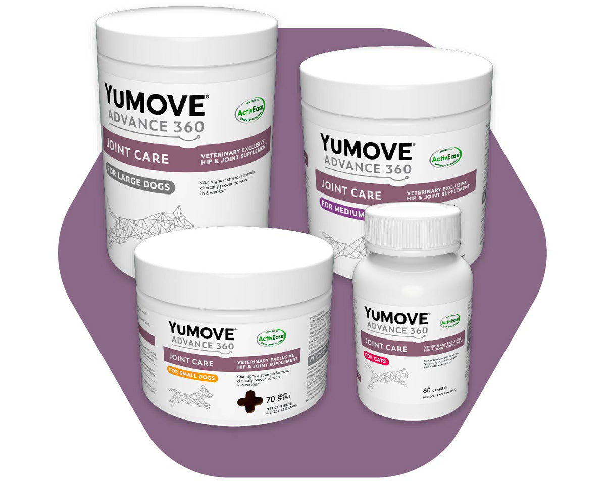 Yumove active clearance